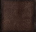Burnished, Walnut